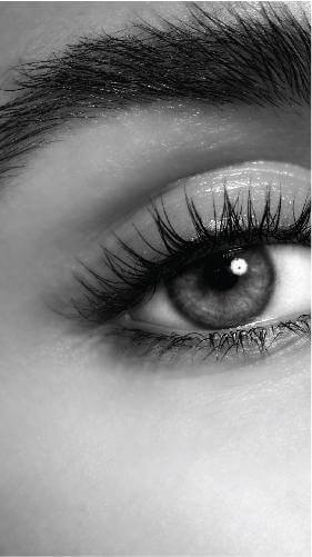 Eyebrow Wax