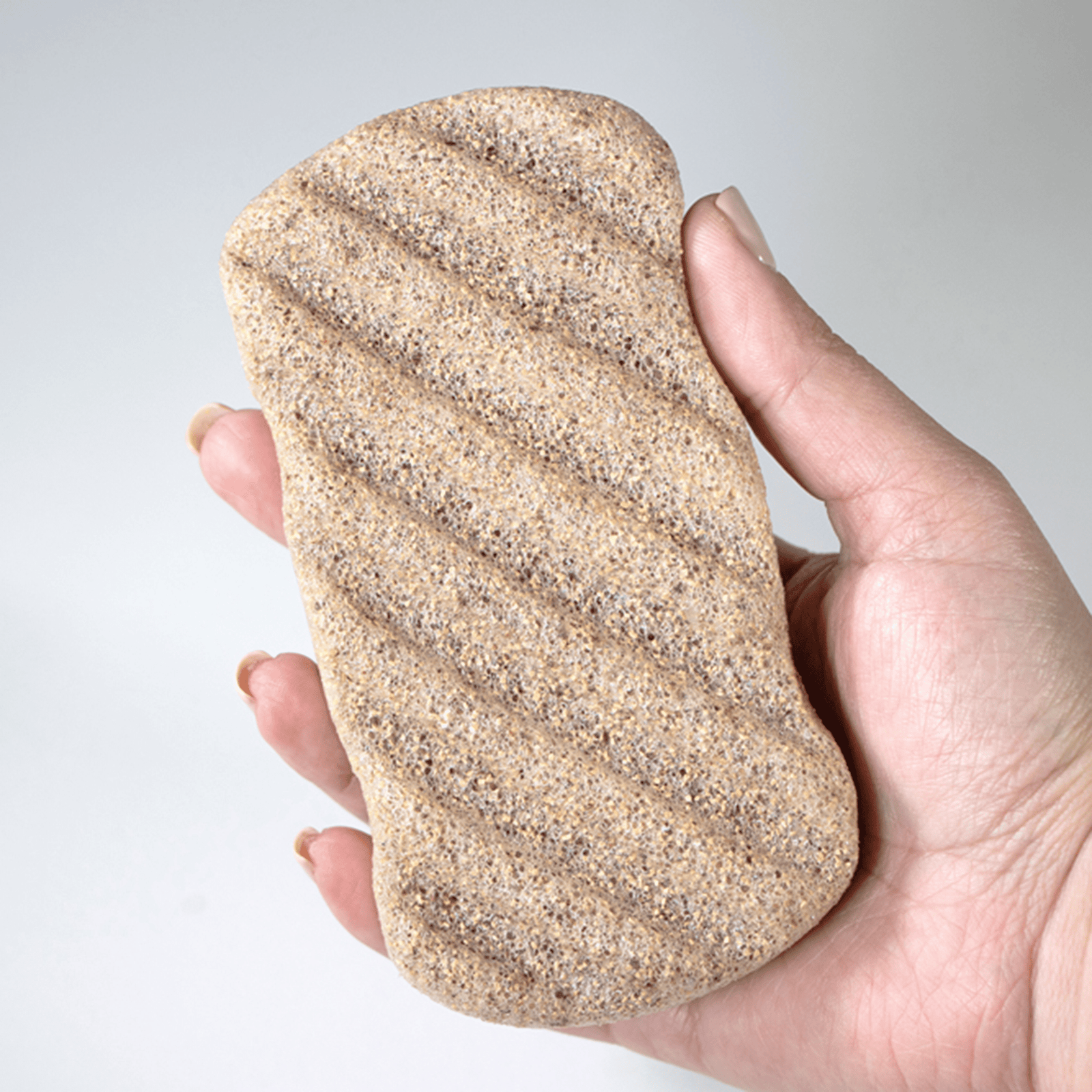 Exfoliating Konjac Sponge Skincare and Bath Official ParissaÂ® Store 